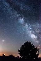 via lattea e un albero foto