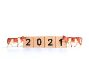 minuscolo bue e blocchi di legno con numeri 2021 isolati su sfondo bianco, simbolo dell'anno 2021 foto