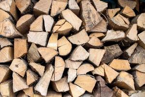 impilati carpine legname e legna menzogna nel un' catasta di legna. foto