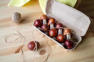 dipinto uova cucinato per Pasqua siamo nel un eco-friendly vassoio foto