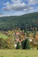 idilliaco villaggio di enzkloesterle nel nero foresta ,Germania foto