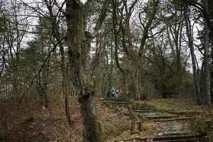 indietro di mamma e bambini con zaini a piedi lungo il foresta pietra strada le scale dopo pioggia insieme. foto