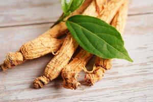 radici di ginseng e foglia verde, cibo sano. foto