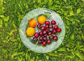un' piatto con albicocche e ciliegie su un' sfondo di verde vegetazione. salutare cibo concetto. foto