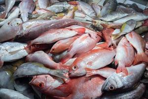 mucchio di vario tipi di fresco pesce a partire dal pescatori quello siamo venduto nel tradizionale mercati, morbido messa a fuoco foto