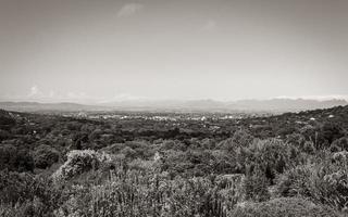 vista panoramica di città del capo e della natura, kirstenbosch. foto