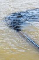 rifiuto acqua a partire dal industriale fogne in fiume foto