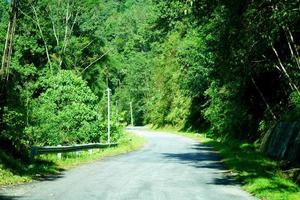 himalayano strade di nord Bengala con verde natura 4 foto