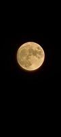 pieno Luna tiro nel il notte foto