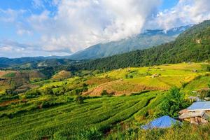 paesaggio di papà pong piang riso terrazze con alloggio in famiglia su montagna, mae cham, chiang mai, foto