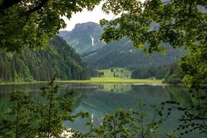 un' lago paesaggio fotografato attraverso un' telaio su rami e cespugli foto