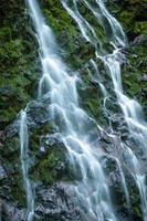 un' piccolo cascata in esecuzione giù un' muschio coperto pietra parete foto