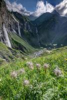 parecchi grande cascate caduta giù un' ripido scogliera, con fiori nel il primo piano foto