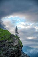 un' solitario albero sta su un' scogliera sotto nuvoloso cielo foto