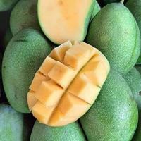 Questo è un' Mango frutta quale è ricco nel vitamina c foto