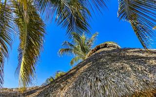 alberghi resort edifici nel Paradiso tra palma alberi puerto escondido. foto