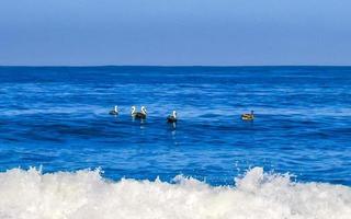 puerto escondido oaxaca Messico 2023 surfer fare surf su tavola da surf su alto onde nel puerto escondido Messico. foto