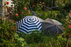 all'aperto ombrelli menzogna nel il giardino e proteggere il fiori foto