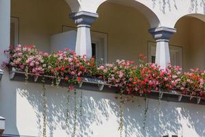 bellissimo vecchio villa con sospeso impianti a partire dal il balcone, foto