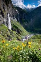 parecchi grande cascate caduta giù un' ripido scogliera, con fiori nel il primo piano foto