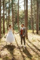 giovane coppia sposa nel un' bianca corto vestito e sposo nel un' grigio completo da uomo nel un' pino foresta foto