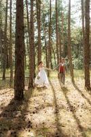 giovane coppia sposa nel un' bianca corto vestito e sposo nel un' grigio completo da uomo nel un' pino foresta foto