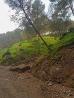 godere il natura pista per scoprire il sereno natura di il montagne foto