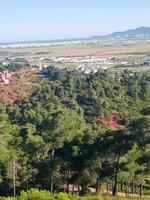 scoperta serenità nel il bellezza di natura e un oasi di calma in mezzo il foreste su il lato di il città foto