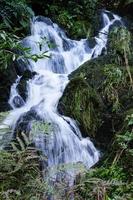 cascata nel Crawford Burn, settentrionale Irlanda, UK foto