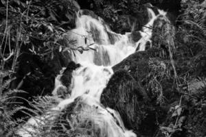 cascata nel Crawford Burn, settentrionale Irlanda, UK foto