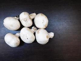 sei funghi bianchi su uno sfondo di tavolo in legno scuro foto