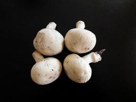 quattro funghi bianchi su sfondo nero foto