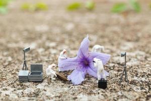 polizia in miniatura e detective che trovano prove da un fiore sulla scena del crimine foto