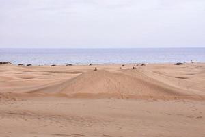 sabbia dune di il mare foto