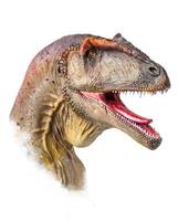 il testa di carcarodontosauro , dinosauro su isolato sfondo . foto
