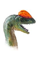 il testa di dilofosauro , dinosauro su isolato sfondo . foto