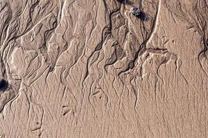 Linee nel il bagnato sabbia su il spiaggia foto