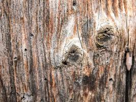 sfondo di legno marrone foto