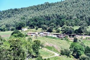 panoramico foresta paesaggio foto