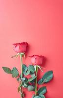 rose su uno sfondo rosso, concetto per il giorno di San Valentino foto