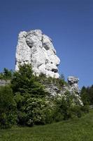 orso - un' roccia vicino il castello nel ogrodzieniec foto