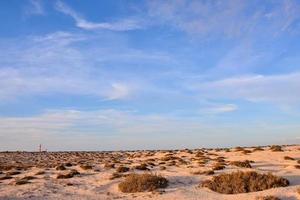 panoramico deserto paesaggio foto