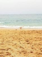d'oro sabbia spiaggia a il mare con sbalorditivo paesaggio foto