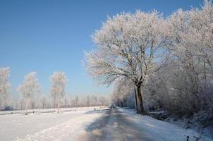 inverno tempo nel westfalia foto