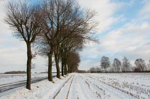 inverno tempo nel westfalia foto