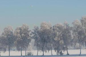 inverno tempo nel westfalia foto