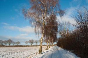 inverno tempo nel westfalia foto