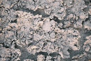 Cracked terra coperto con polvere foto