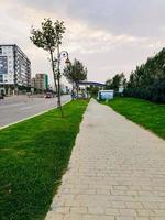 Perfetto sera per un' senza fretta passeggiare nel il grande all'aperto foto