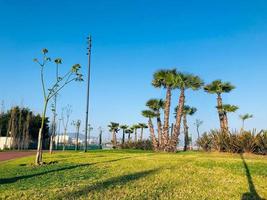 pubblico parco con un' mozzafiato e tranquillo, calmo panoramico Visualizza foto